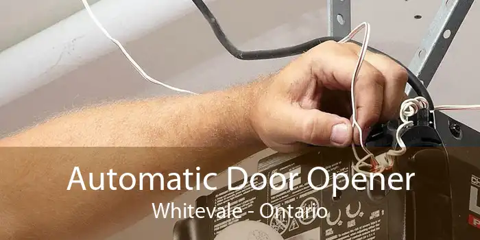 Automatic Door Opener Whitevale - Ontario