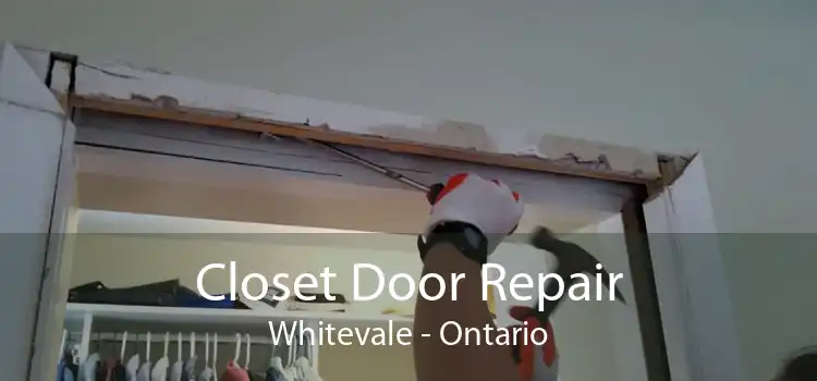 Closet Door Repair Whitevale - Ontario