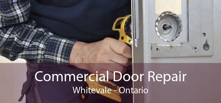 Commercial Door Repair Whitevale - Ontario