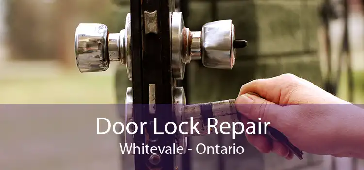 Door Lock Repair Whitevale - Ontario