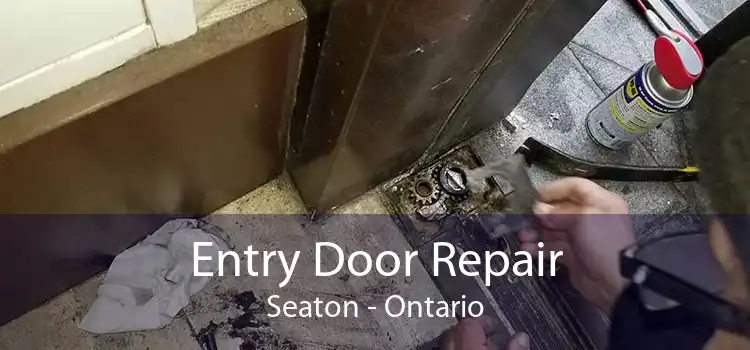 Entry Door Repair Seaton - Ontario
