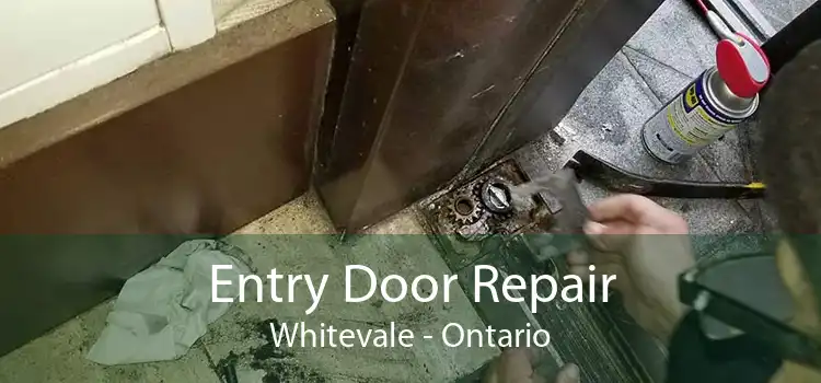 Entry Door Repair Whitevale - Ontario