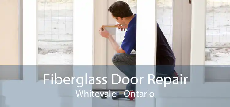Fiberglass Door Repair Whitevale - Ontario