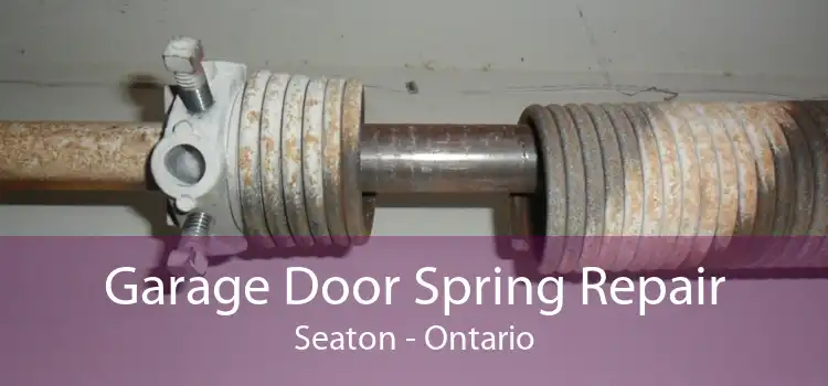 Garage Door Spring Repair Seaton - Ontario