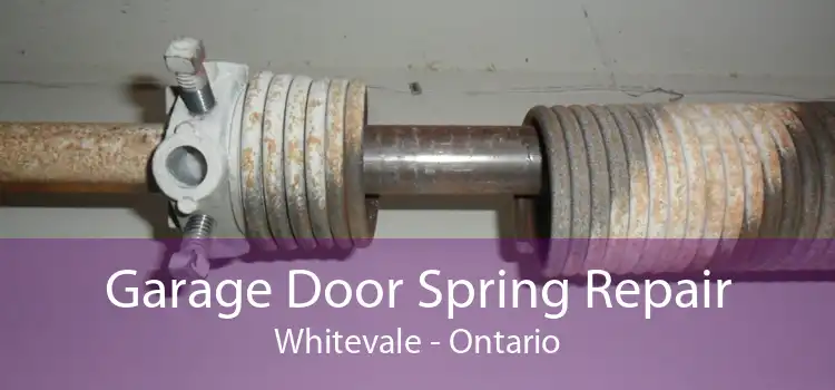 Garage Door Spring Repair Whitevale - Ontario