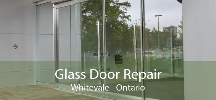 Glass Door Repair Whitevale - Ontario