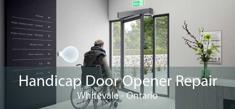 Handicap Door Opener Repair Whitevale - Ontario