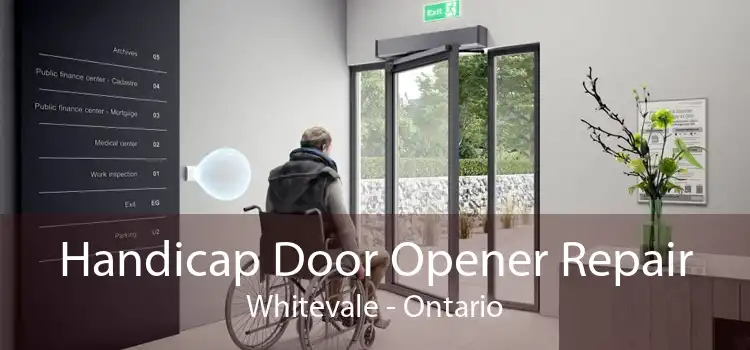 Handicap Door Opener Repair Whitevale - Ontario
