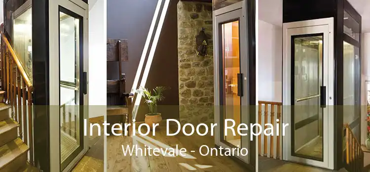 Interior Door Repair Whitevale - Ontario