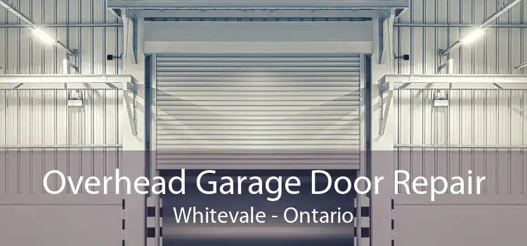 Overhead Garage Door Repair Whitevale - Ontario