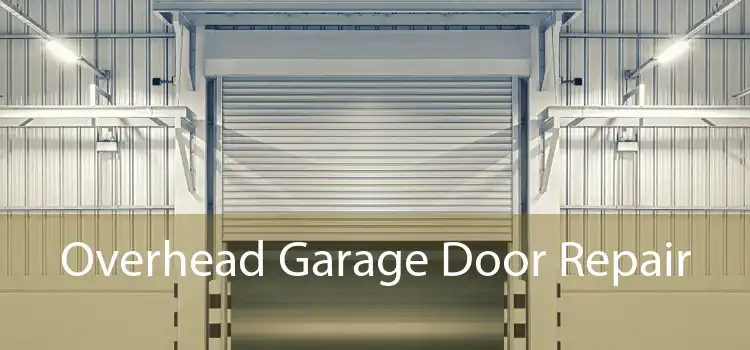 Overhead Garage Door Repair 