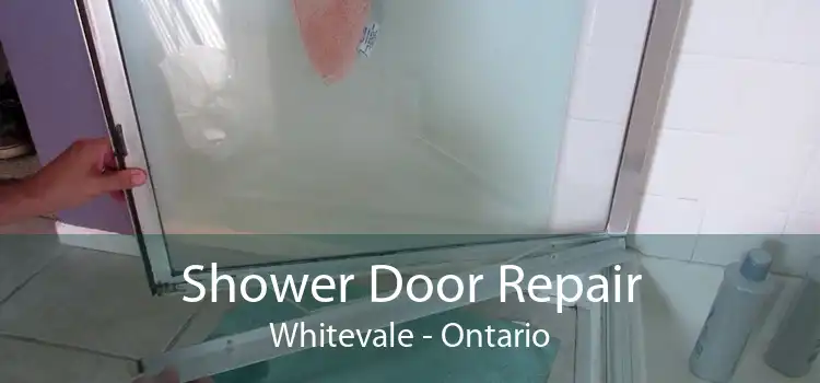 Shower Door Repair Whitevale - Ontario