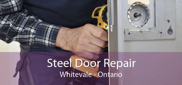 Steel Door Repair Whitevale - Ontario