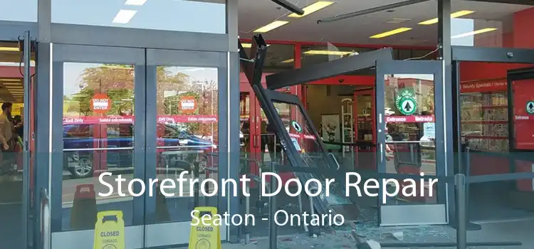 Storefront Door Repair Seaton - Ontario