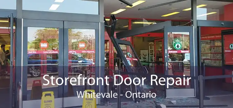 Storefront Door Repair Whitevale - Ontario