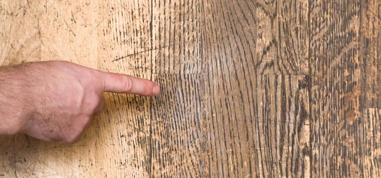 Wood Door Scratch Repair in Whitevale